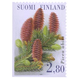 MetsÃ¤ ja metsÃ¤ntutkimus - Kuusi