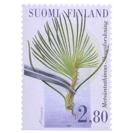 Metsä ja metsäntutkimus - Tutkimustyö