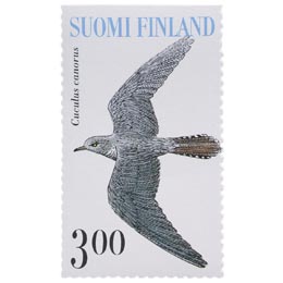 SuviyÃ¶n lintuja - KÃ¤ki