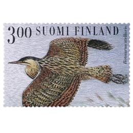 SuviyÃ¶n lintuja - Kaulushaikara