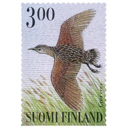 SuviyÃ¶n lintuja - RuisrÃ¤Ã¤kkÃ¤