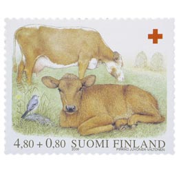 Kotieläimiä - Lehmä ja vasikka