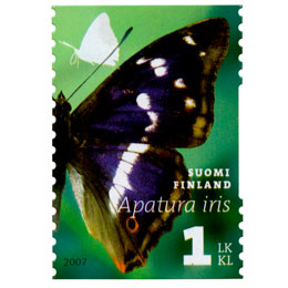 Päiväperhosia - Häiveperhonen