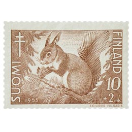 Nisäkkäitä - Orava