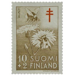 HyÃ¶nteisiÃ¤ - Kimalainen