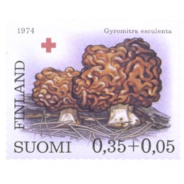 SieniÃ¤ - Korvasieni