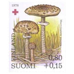 SieniÃ¤ - Ukonsieni
