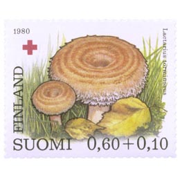 SieniÃ¤ - Karvarousku