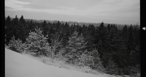 Talvinen metsämaisema Porvoossa.